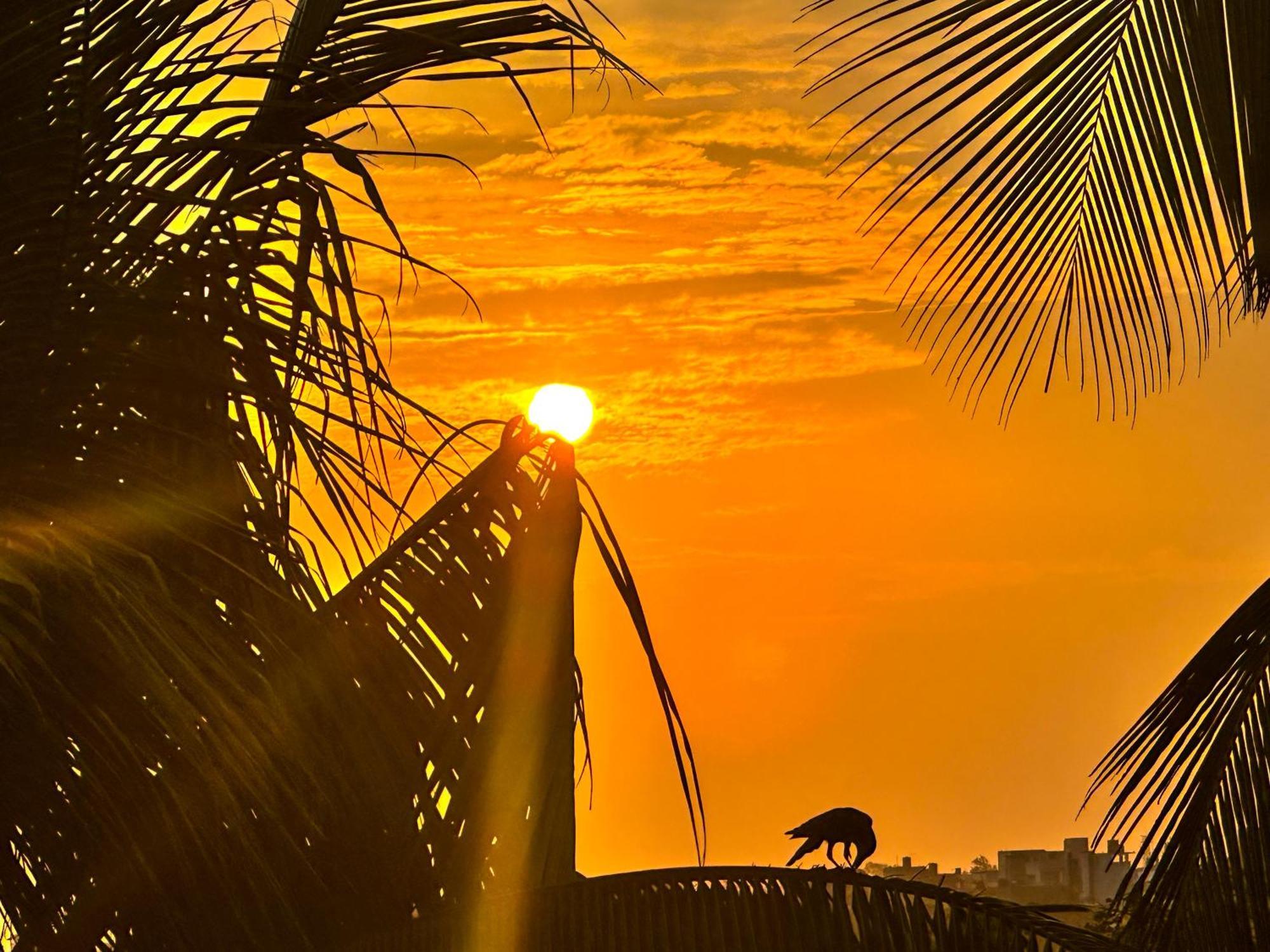 New Panda House Hotel Galle Exterior foto